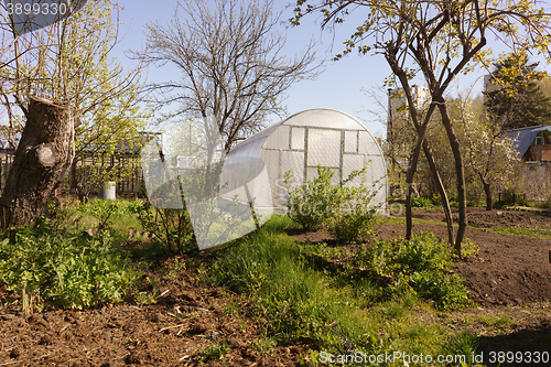 Image of Greenhouse