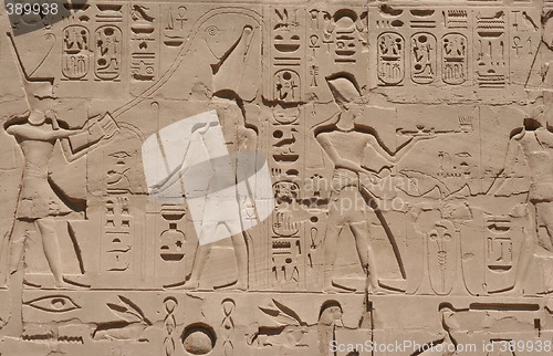 Image of Luxor temple Hieroglyphic