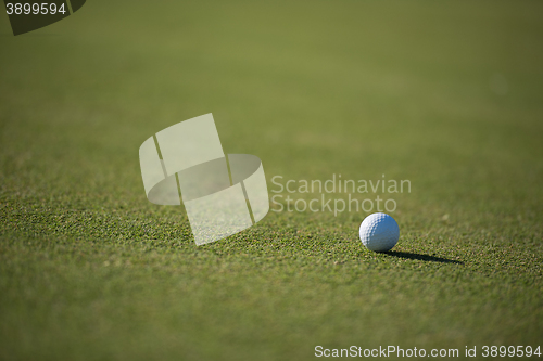 Image of golf ball on grass