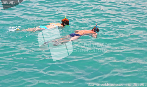 Image of snorkelling