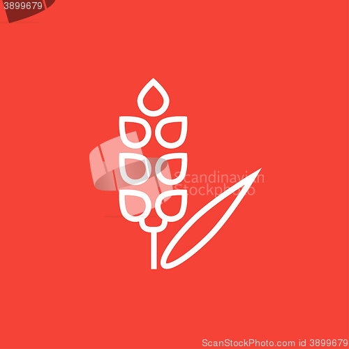 Image of Wheat line icon.