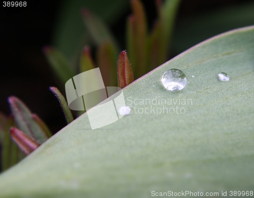 Image of water drop