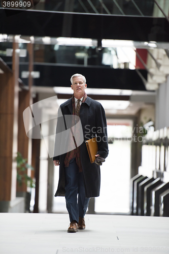 Image of handsome senior business man walking