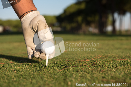 Image of close up of golf players hand placing ball on tee