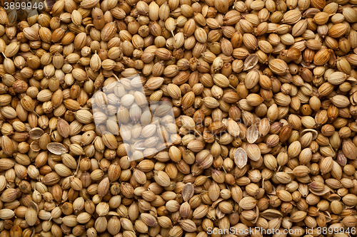 Image of Coriander seeds