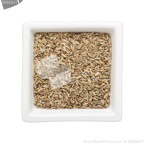 Image of Fennel seeds