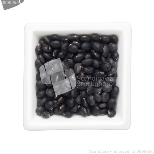 Image of Black turtle bean