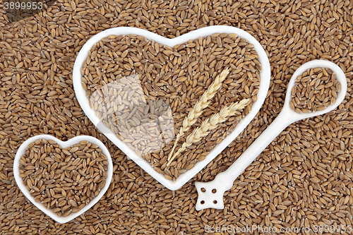 Image of Spelt Wheat Grain