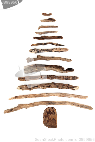 Image of Abstract Driftwood Tree