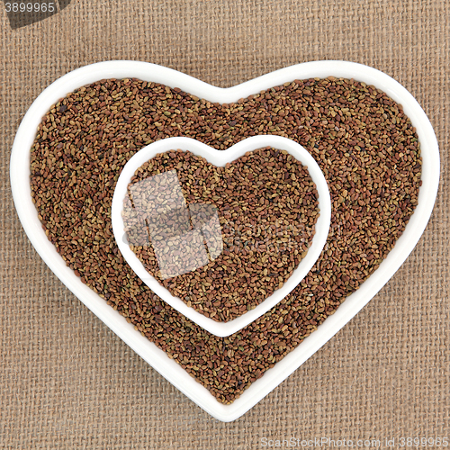 Image of Alfalfa Seed