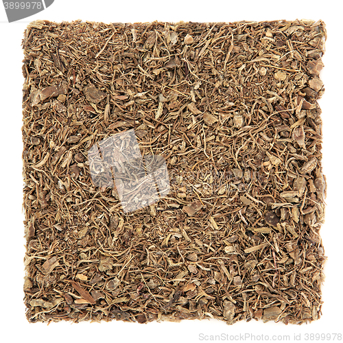Image of Blue Cohosh Root Herb