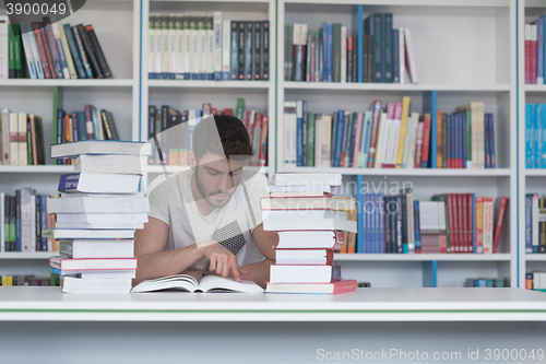 Image of student study  in school library