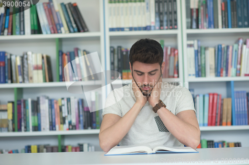 Image of student study  in school library