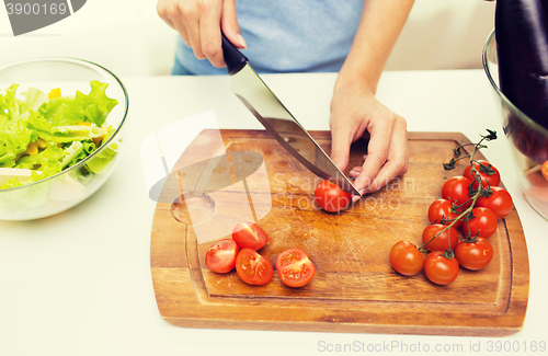 Image of close up of woman chopping tomatoes with knife