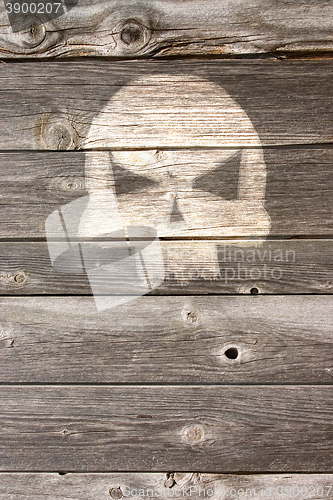 Image of bone head on wooden background