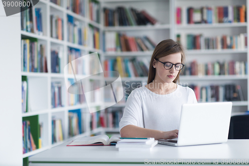 Image of student study in library