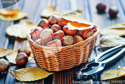 Image of hazelnuts
