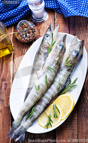 Image of raw fish