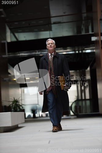 Image of handsome senior business man walking