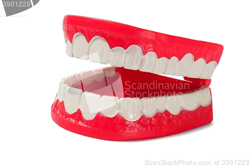 Image of Denture on white