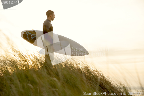 Image of Searching for the swell