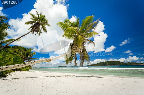 Image of Beautiful beach in Seychelles