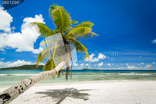 Image of Beautiful beach in Seychelles