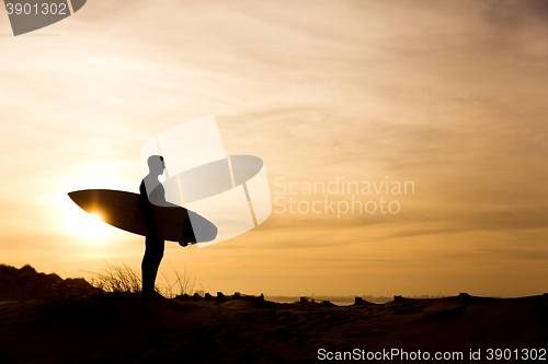 Image of Searching for the swell