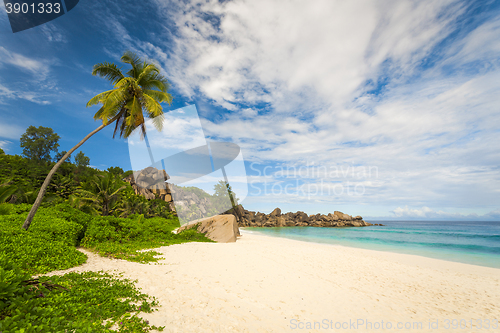 Image of Tropical beach 