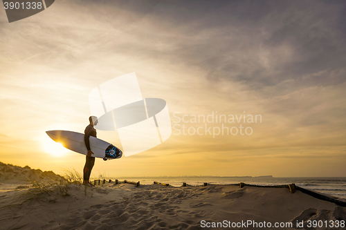 Image of Searching for the swell