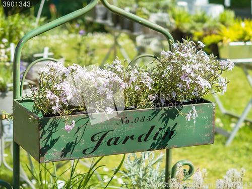 Image of Flower pots