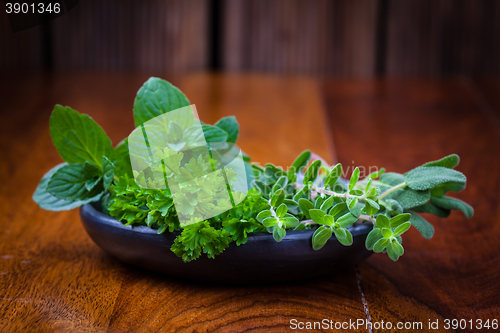 Image of Fresh herbs from garden