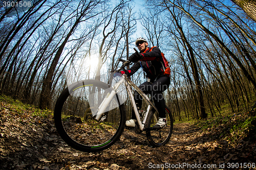 Image of Cyclist Riding the Bike