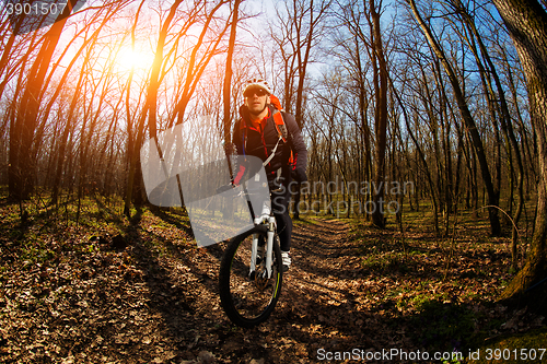 Image of Cyclist Riding the Bike