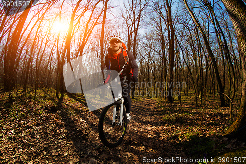 Image of Cyclist Riding the Bike