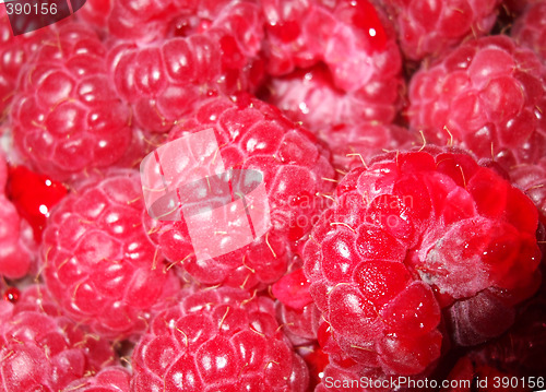 Image of Raspberries