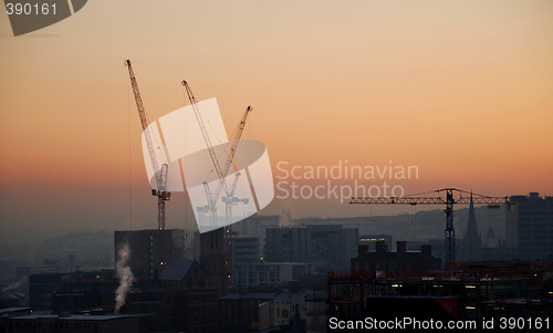 Image of City of Cranes