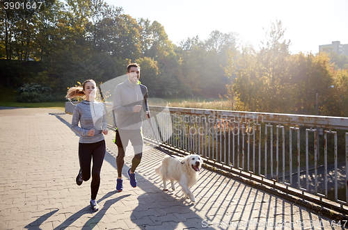 Image of happy couple with dog running outdoors