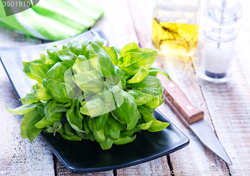 Image of fresh basil