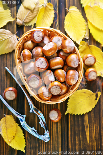 Image of hazelnuts