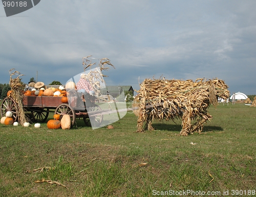 Image of Harvest Time