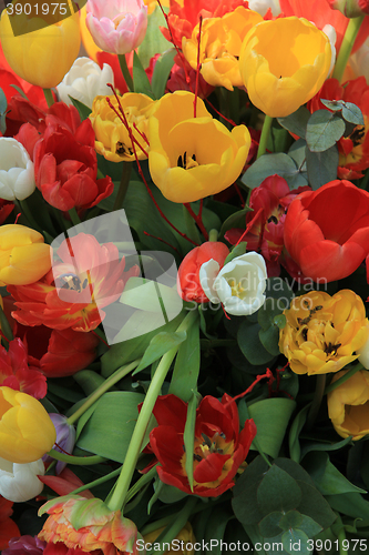 Image of Tulip bouquet