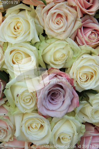 Image of Pastel roses in a wedding arrangement