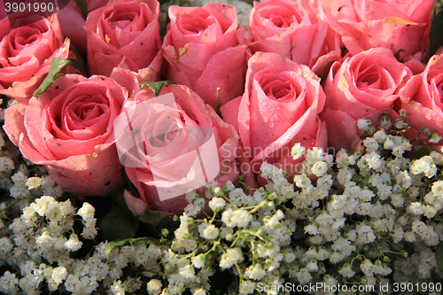 Image of Pink roses and baby breath bouquet