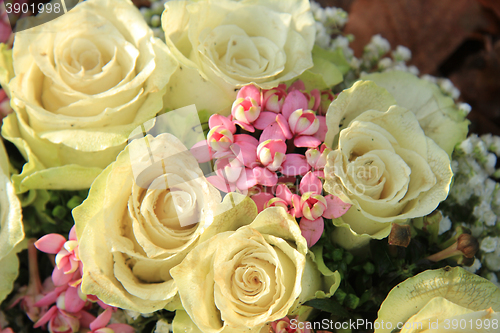Image of White wedding roses