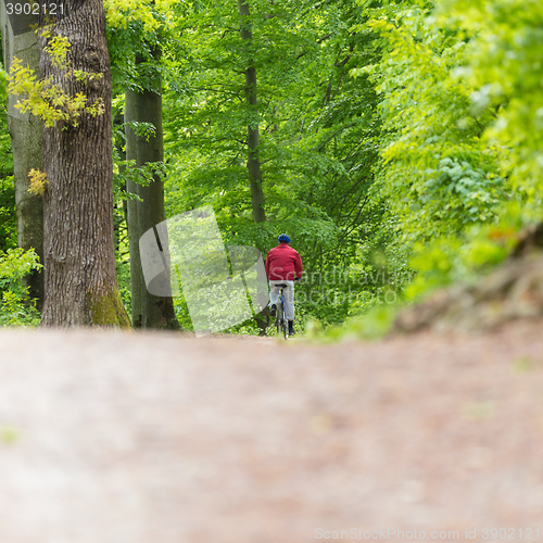 Image of Cyclist Riding Bycicle on Forest Trail.