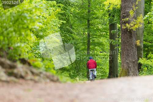 Image of Cyclist Riding Bycicle on Forest Trail.