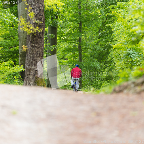 Image of Cyclist Riding Bycicle on Forest Trail.