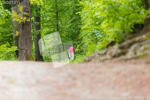 Image of Cyclist Riding Bycicle on Forest Trail.