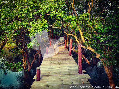 Image of Wooden bridge in flooded rain forest jungle of mangrove trees